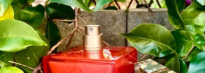 Красный и опасный Rodriguez Narciso Rouge EDT