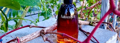 Dior Fahrenheit EDT кожаный люксовый аромат