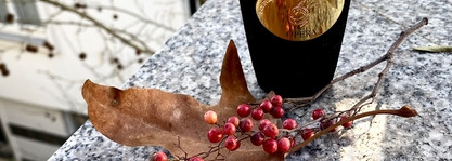 Время лакшери от Xerjoff Opera EDP