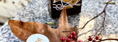 Самая мягкая кожа Memo Paris Irish leather EDP