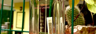 Hermes Un Jardin Sur La Lagune EDT – Туалетная вода