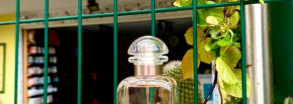 Hermes Un Jardin Sur La Lagune EDT – Туалетная вода