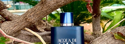 Acqua di Giò Profondo Giorgio Armani EDP