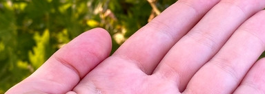 Мой летний уход в субтропиках для комбинированной кожи 35+