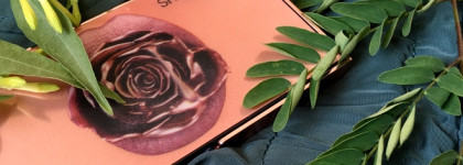 Smashbox + Vlada - лучшая нюдовая палетка на каждый день под стрелочку