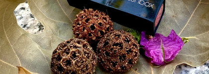 Любимая кремовая помада Be legendary от Smashbox в оттенке Primrose