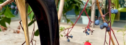 Женственно на каблуках Carolina Herrera Good Girl EDP или Чья туфля?