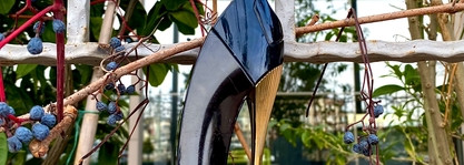 Женственно на каблуках Carolina Herrera Good Girl EDP или Чья туфля?