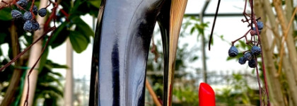 Женственно на каблуках Carolina Herrera Good Girl EDP или Чья туфля?