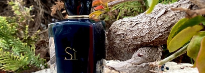 Giorgio Armani Si Intense EDP - Чёрный из семейства Si для расслабления и отдыха