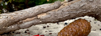 Smashbox SuperFan Mascara black - отличная тушь