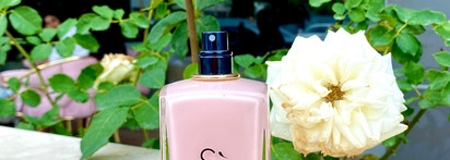 Самый невестоШный аромат из линейки Си от Giorgio Armani Si Fiori EDP