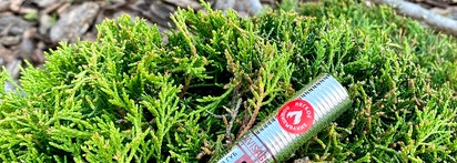 Неприлично дешево и шикарно от Luxvisage Lip Volumizer Hot Vanilla - Блеск-плампер для губ тон 305 Rosewood