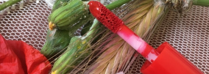 Бархатная помада в оттенке 400 от люксового бренда Giorgio Armani Lip Maestro Intense Velvet Colour