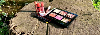 Косметичка в поездку на Родину / максимальный project pan