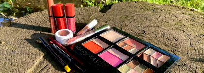 Косметичка в поездку на Родину / максимальный project pan