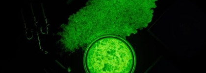 Halloween и новинки от Colourpop Haunted Mansion collection (Foolish Mortals)