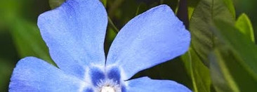 Aero mini triochrome palette Natasha Denona