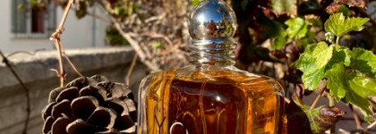 Большая осенняя косметичка: парфюмерия, много макияжей, декоративка