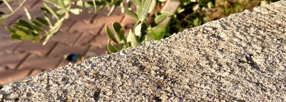 Colourpop Pressed Powder Shadow розово-сиреневое настроение с фиолетовой ноткой