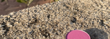 Colourpop Pressed Powder Shadow розово-сиреневое настроение с фиолетовой ноткой