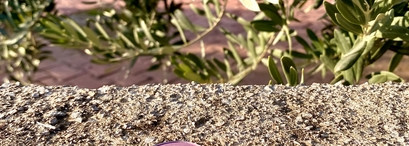 Colourpop Pressed Powder Shadow розово-сиреневое настроение с фиолетовой ноткой