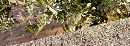 Colourpop Pressed Powder Shadow розово-сиреневое настроение с фиолетовой ноткой