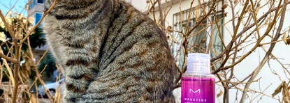 Masstige Jellyfish Collagen Moisturizing Booster – Бустер для хорошего увлажнения кожи