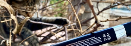 Лучшая тушь 2023 - Сияна «Универсальная»Тушь для ресниц ультра-синяя