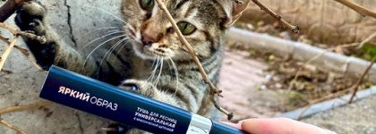 Лучшая тушь 2023 - Сияна «Универсальная»Тушь для ресниц ультра-синяя