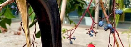 Мои самые необычные флаконы коллекции