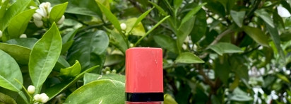 Bourjois Rouge Edition Velvet Lipstick – легендарная губная помада в летнем оттенке 04 Peach club