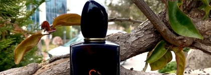 Giorgio Armani Si - большой обзор на любимую линейку любимого бренда