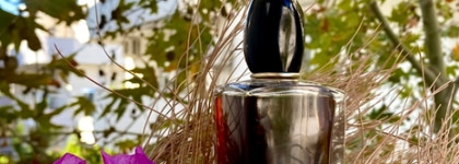Giorgio Armani Si - большой обзор на любимую линейку любимого бренда