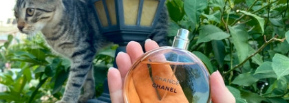 Chanel Chance EDT - слишком популярный аромат от люксового бренда?