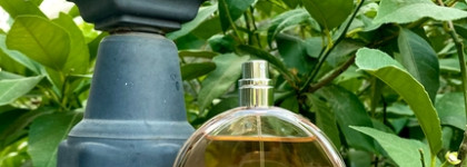 Chanel Chance EDT - слишком популярный аромат от люксового бренда?