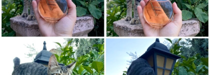 Chanel Chance EDT - слишком популярный аромат от люксового бренда?