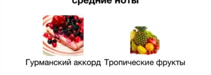 Топ 5 парфюмерных фаворитов 2024 года