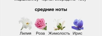 Ну, очень большая осенне/ зимняя косметичка 2024: косметика и парфюмерия