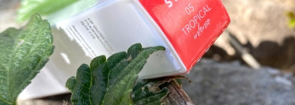 Shik Lip Care Gloss 05 tropical intense - Шикарный блеск в летнем оттенке