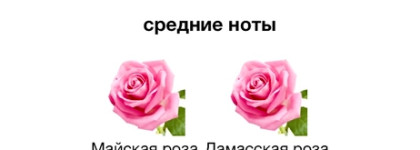 Giorgio Armani Sí Passione Eclat EDP - моё парфюмерное «Я» версия 2025