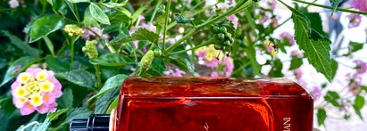 Giorgio Armani Sí Passione Eclat EDP - моё парфюмерное «Я» версия 2025