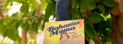 The Balm Bahama Mama Bronzer, Shadow & Contour Powder - легендарный, матовый бронзер
