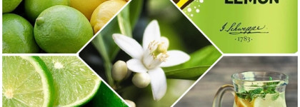 Van Cleef & Arpels Neroli Amara EDP – новогодний аромат для коктейльной вечеринки