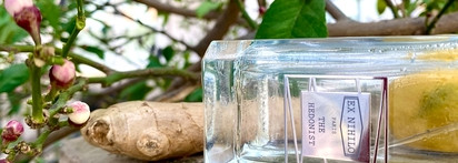 Ex Nihilo The Hedonist EDP – сумасшедший имбирь вскружил мне голову
