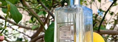 Ex Nihilo The Hedonist EDP – сумасшедший имбирь вскружил мне голову