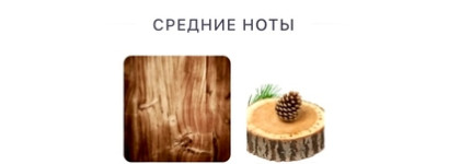 Ex Nihilo The Hedonist EDP – сумасшедший имбирь вскружил мне голову