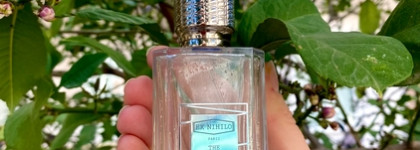 Ex Nihilo The Hedonist EDP – сумасшедший имбирь вскружил мне голову