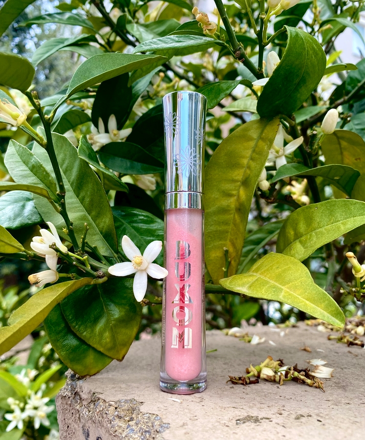 полный образ