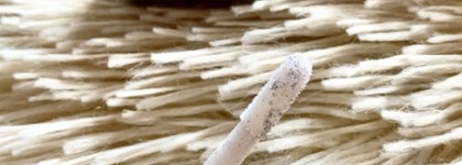 Chupa Chups, к которому Вы однозначно прилипнете